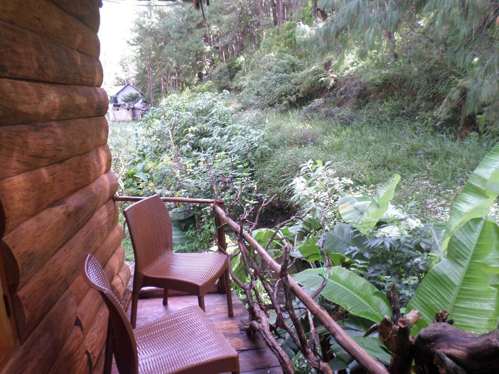 Moon Plains Forest Log Nuwara Eliya Room photo